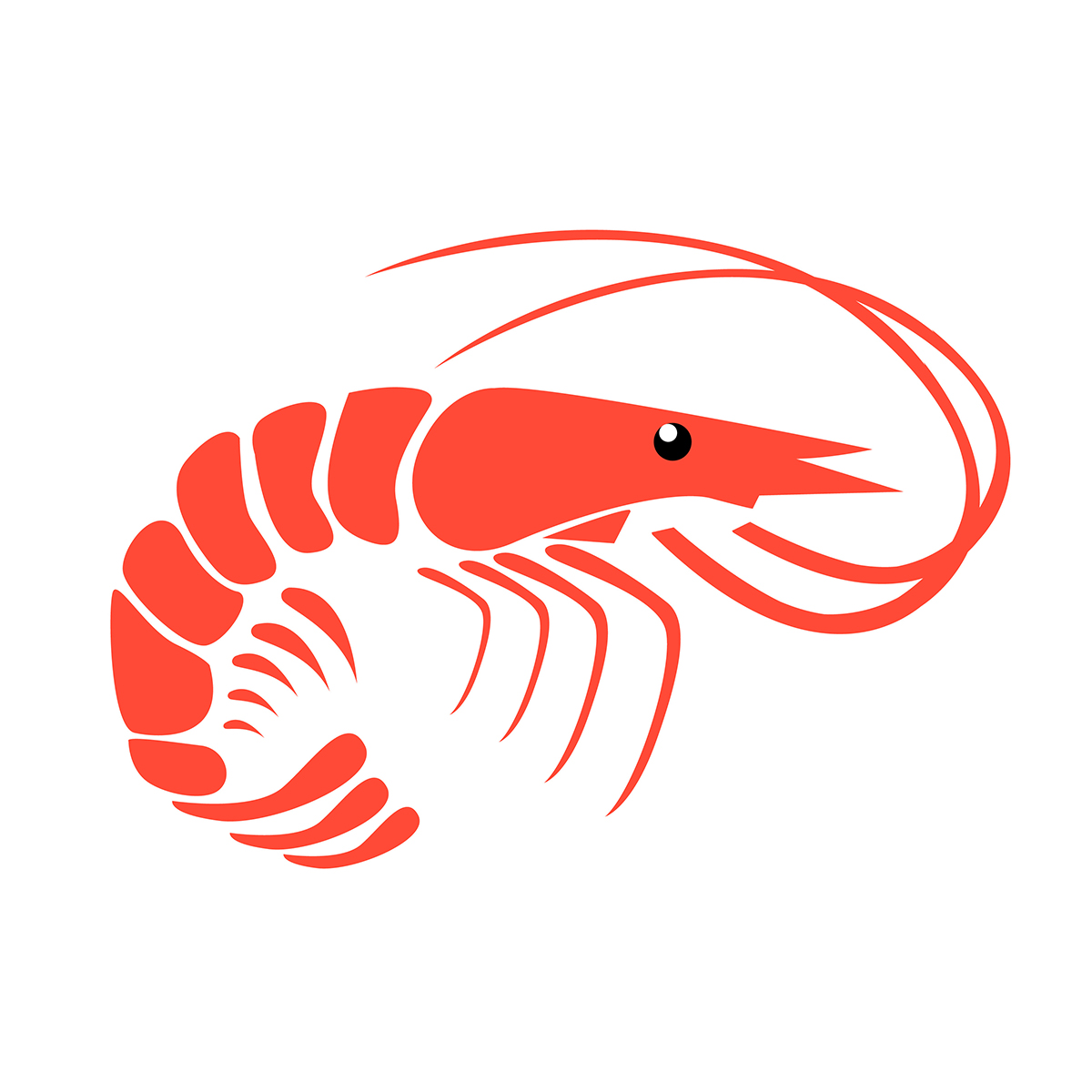 Shrimp